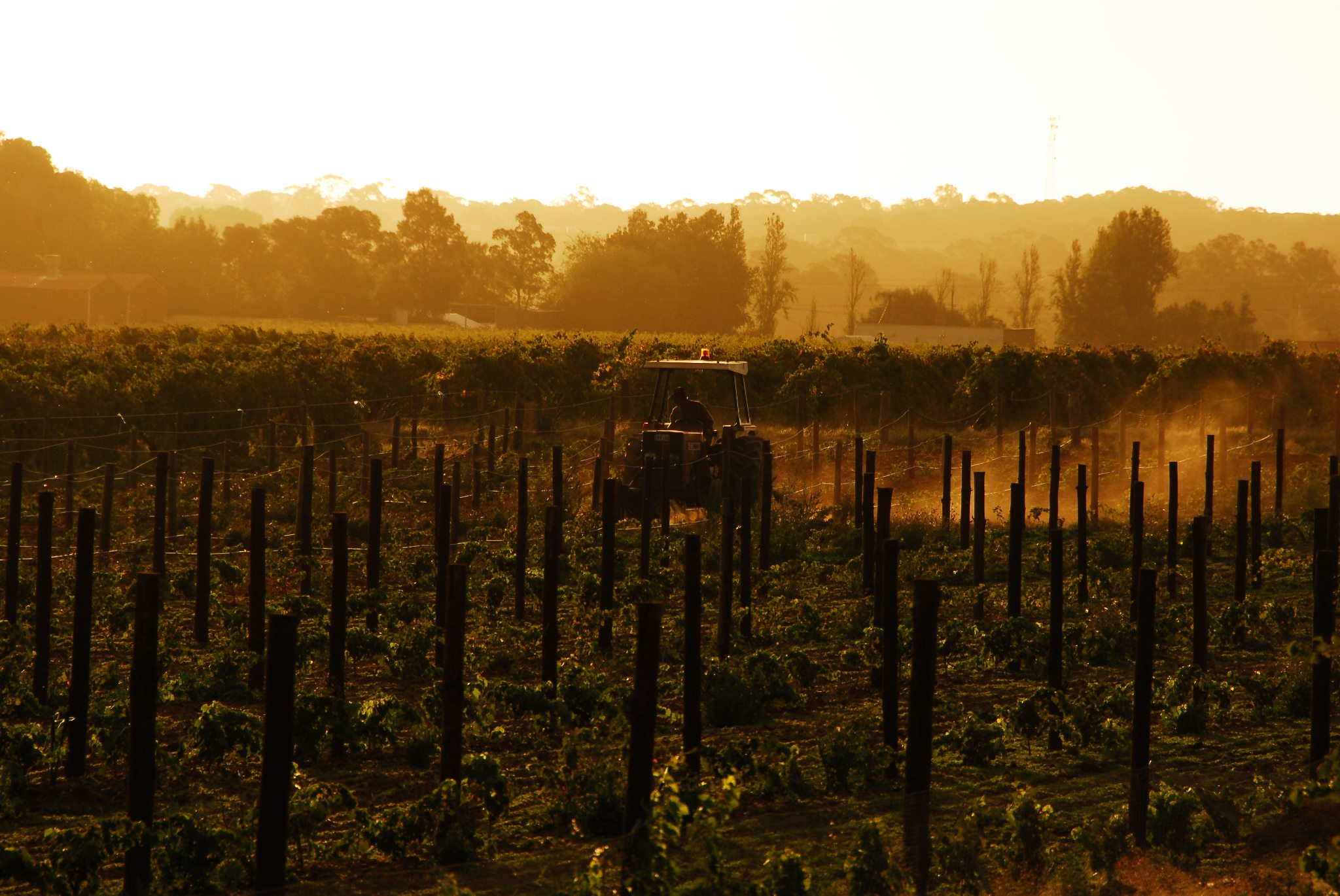 Enoveneta e SEAM per il mercato Australiano Enoveneta e SEAM per il mercato Australiano